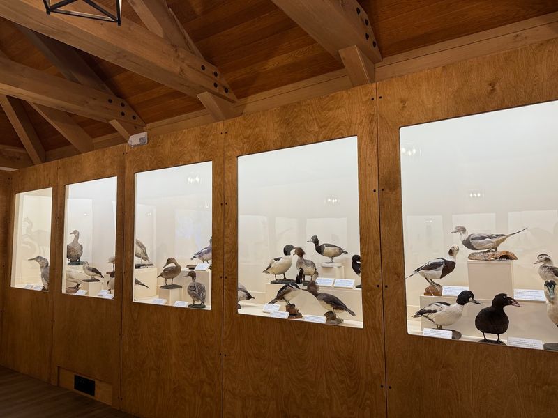 Inside the Museum, Field Guides Come Alive