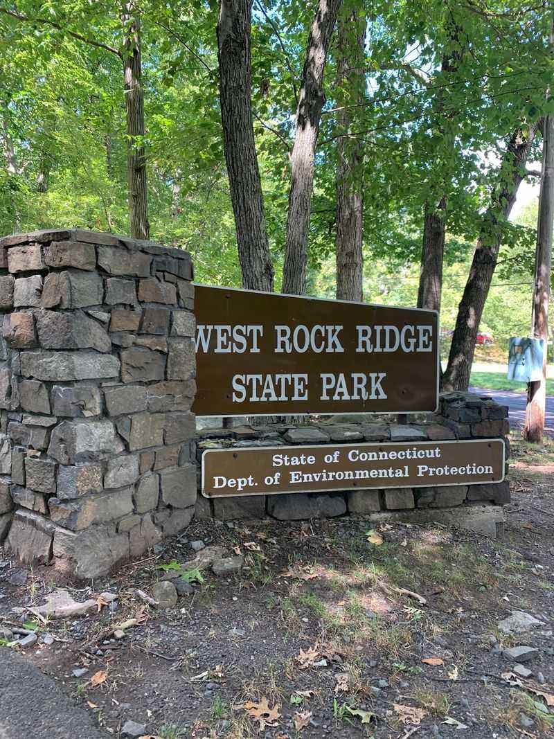Start at Wintergreen Avenue