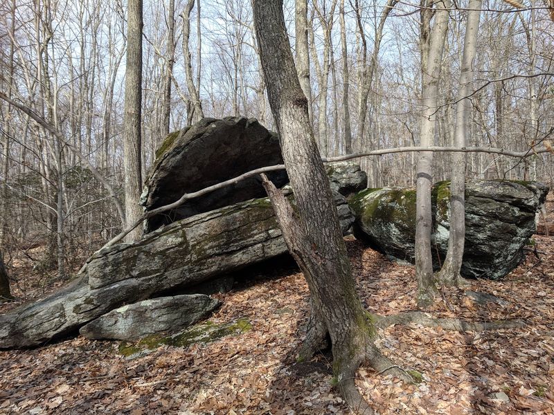 Stone Walls and Forest Secrets Hidden in Plain Sight