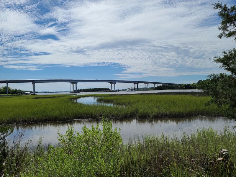A Boardwalk Above the Marsh