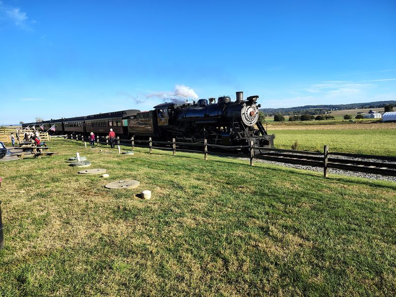 Animals, Buggy Rides, and Fresh Air Add Bonus Fun