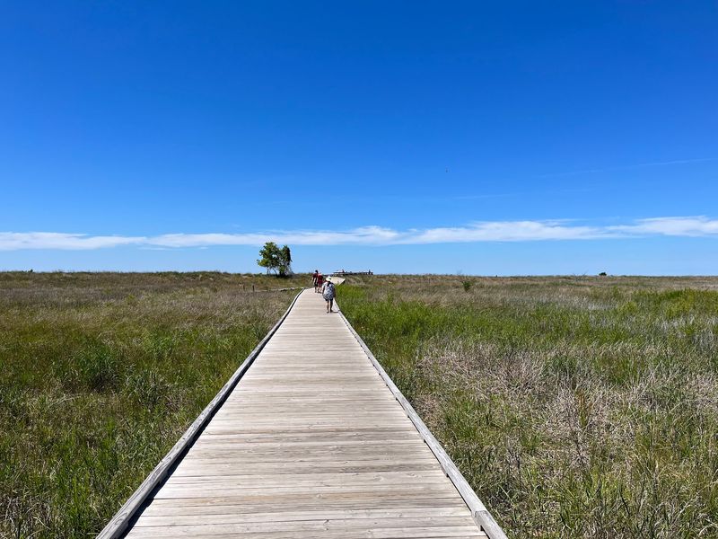 Follow The Paths Through The Dunes To The Lake