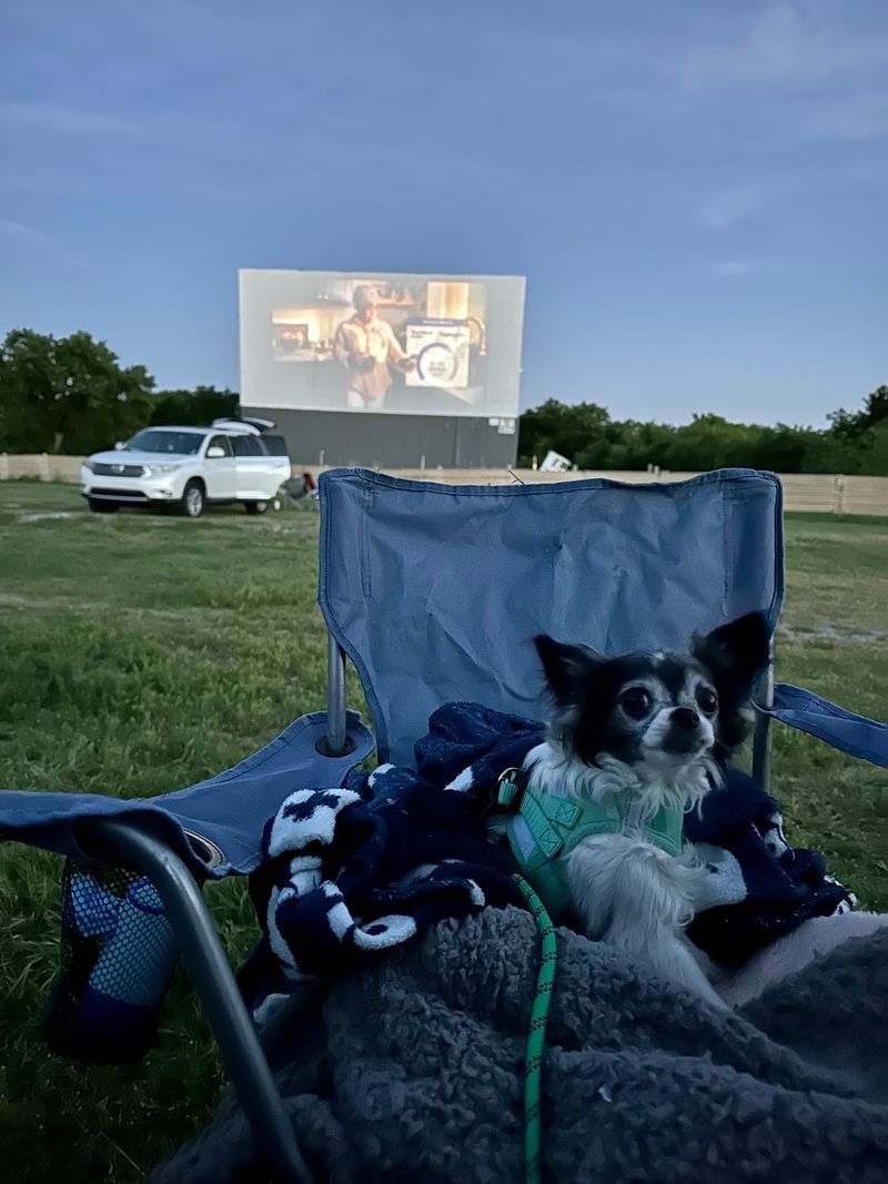 It Is A Family-Friendly Tradition That Welcomes Pets, Too