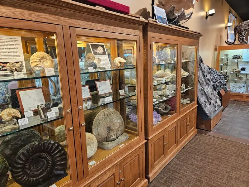 Bob Campbell Geology Museum - Clemson