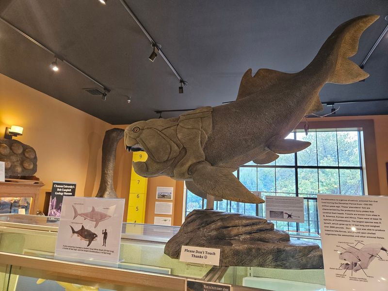 Bob Campbell Geology Museum - Clemson