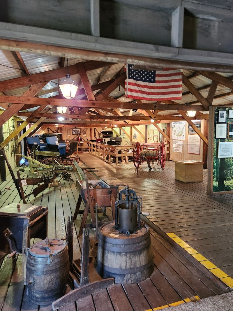 Camp 5 Turns Logging History Into A Walkable Adventure