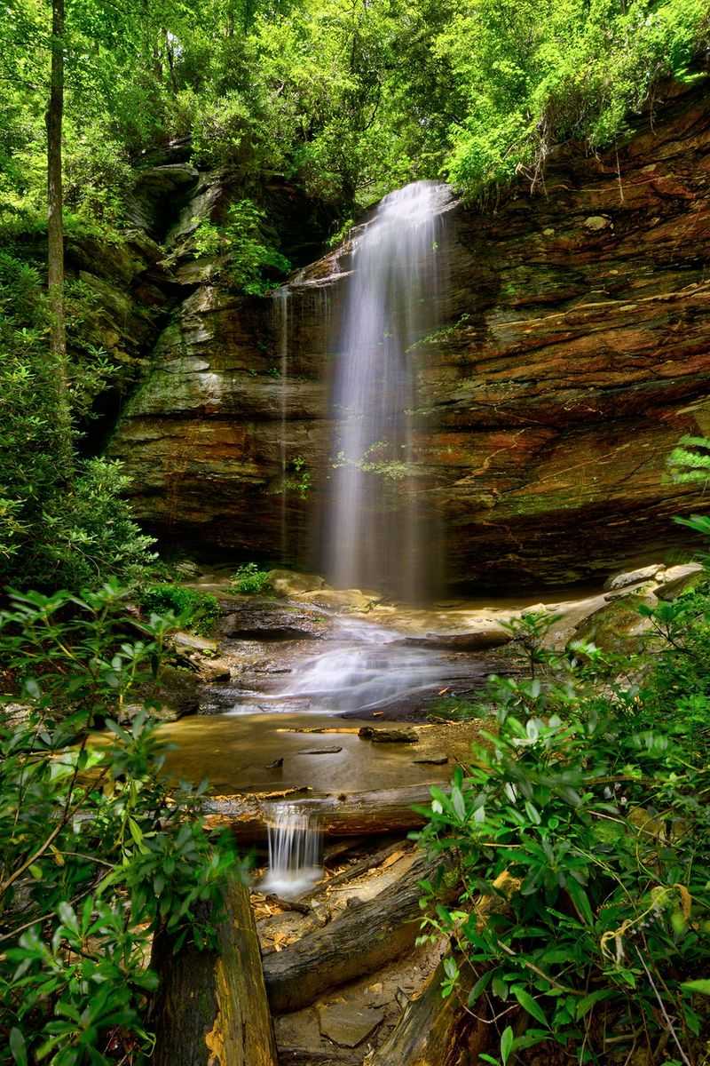 Moore Cove Falls Appears at the End of the Trail