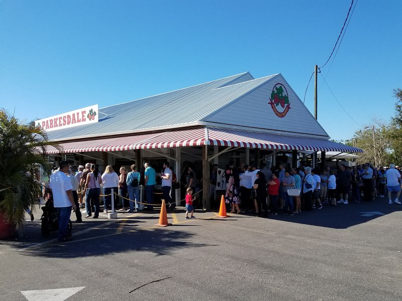 Time Your Visit Around The Strawberry Season