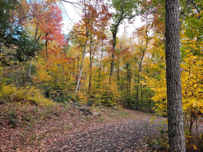 Color at Every Turn