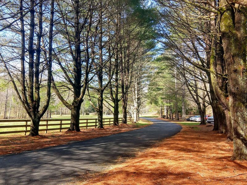 Biking Opens Up The Park's Larger Shape