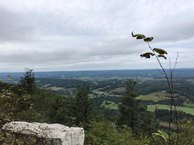 Peace and Quiet Are Part of the Experience