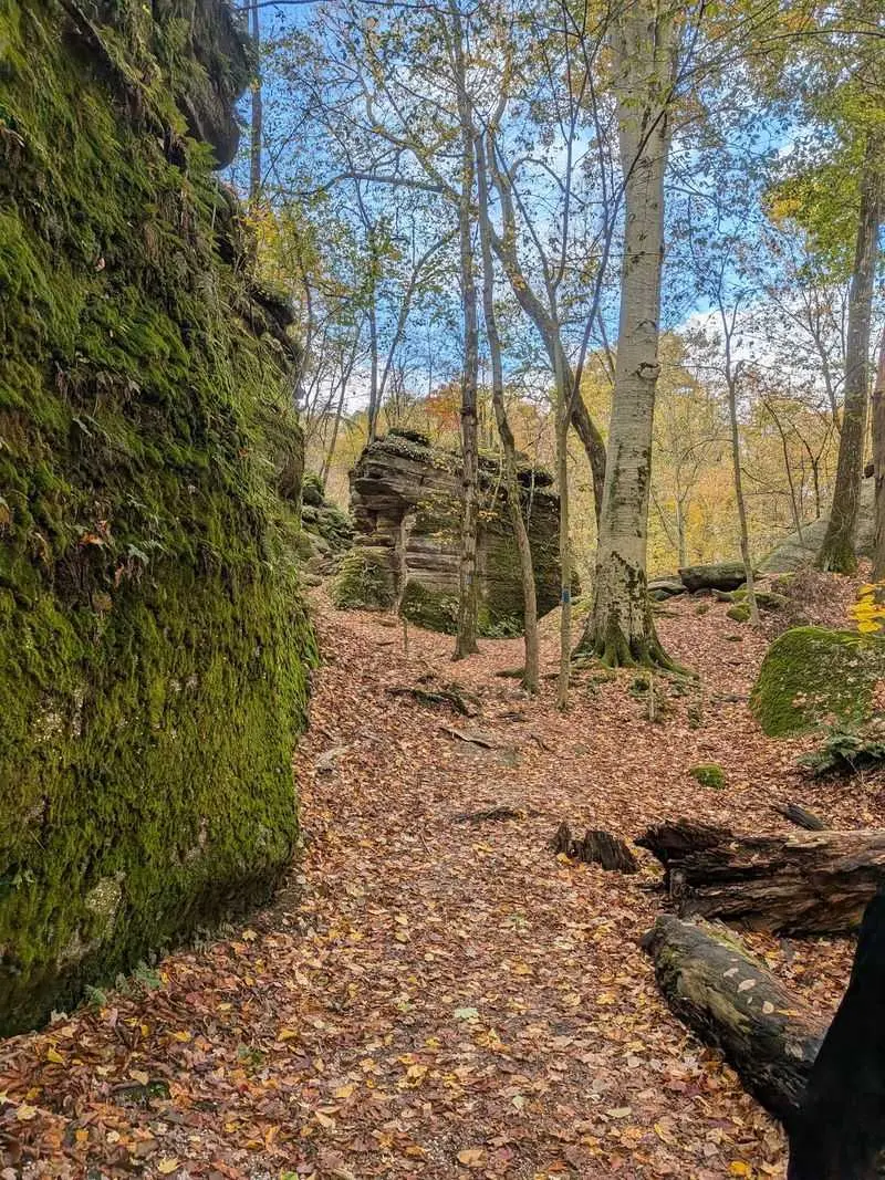 Hiking Turns the Visit Into More Than a Swim Day