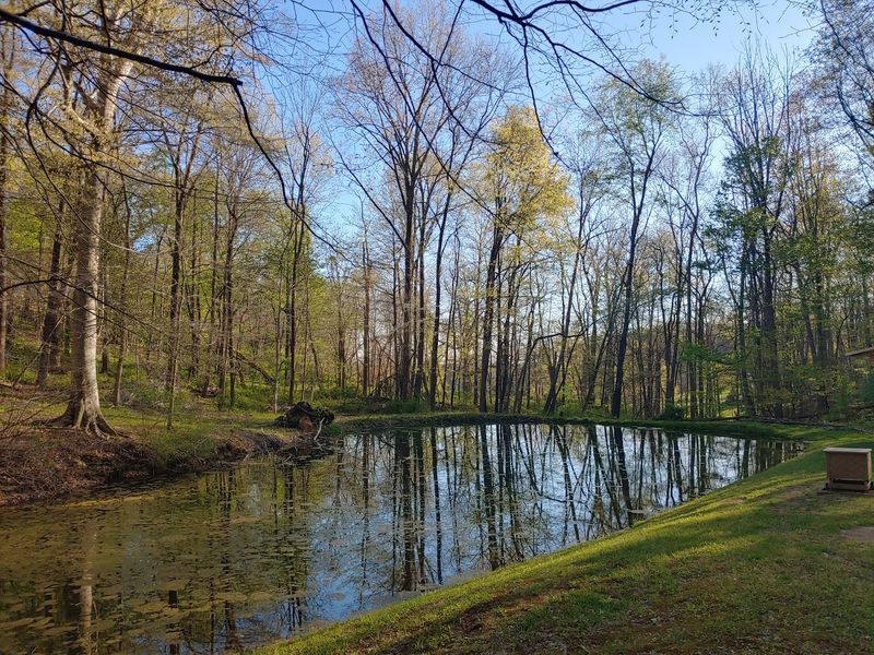The Licking County Trail Offers a Slower Scene