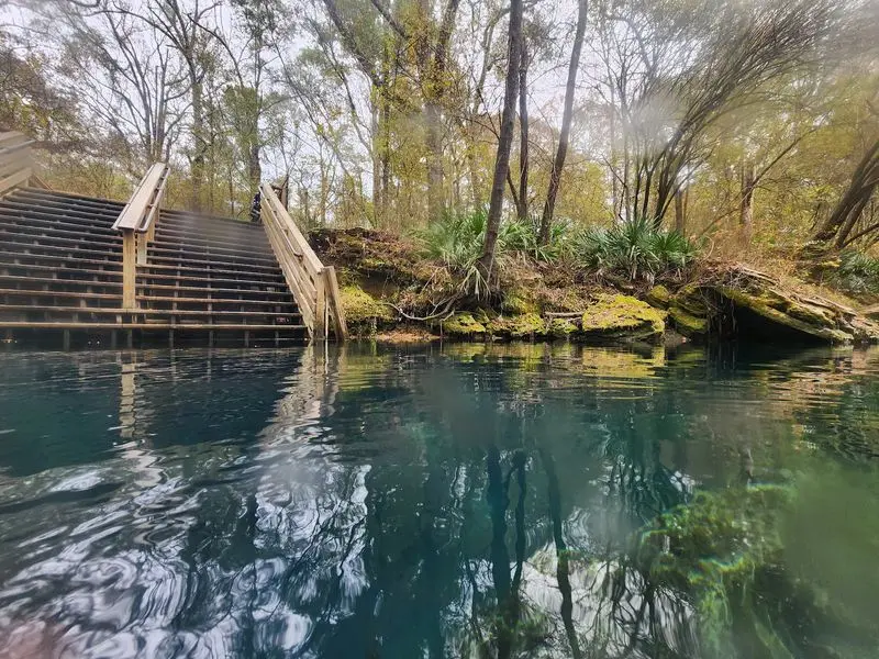 Best Tips for a Smooth Peacock Springs Visit