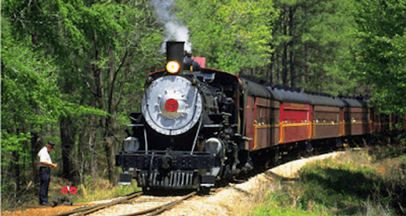 A Piney Woods Ride That Feels Far From Town