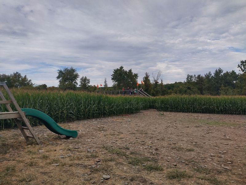 You Can Leave the Maze and Keep Playing
