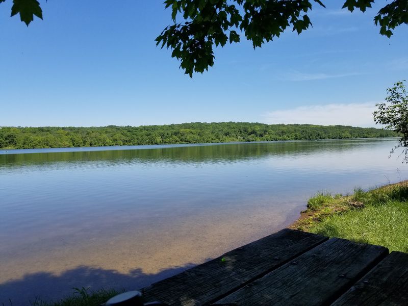 Pair The Lavender Fields With Peace Valley Park And Lake Galena