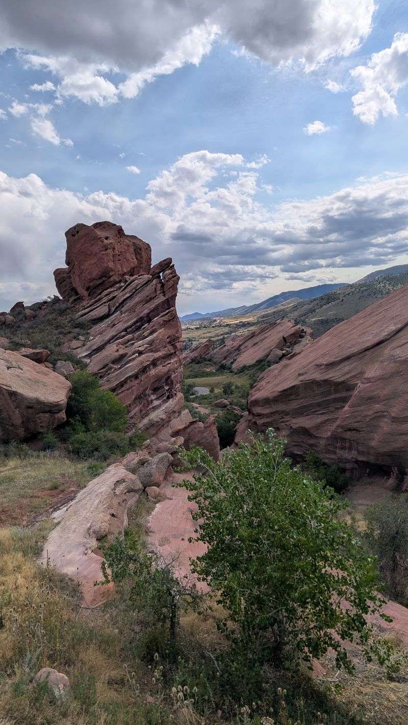 Wildlife, Wildflowers And Forest Add More Than Canyon Views
