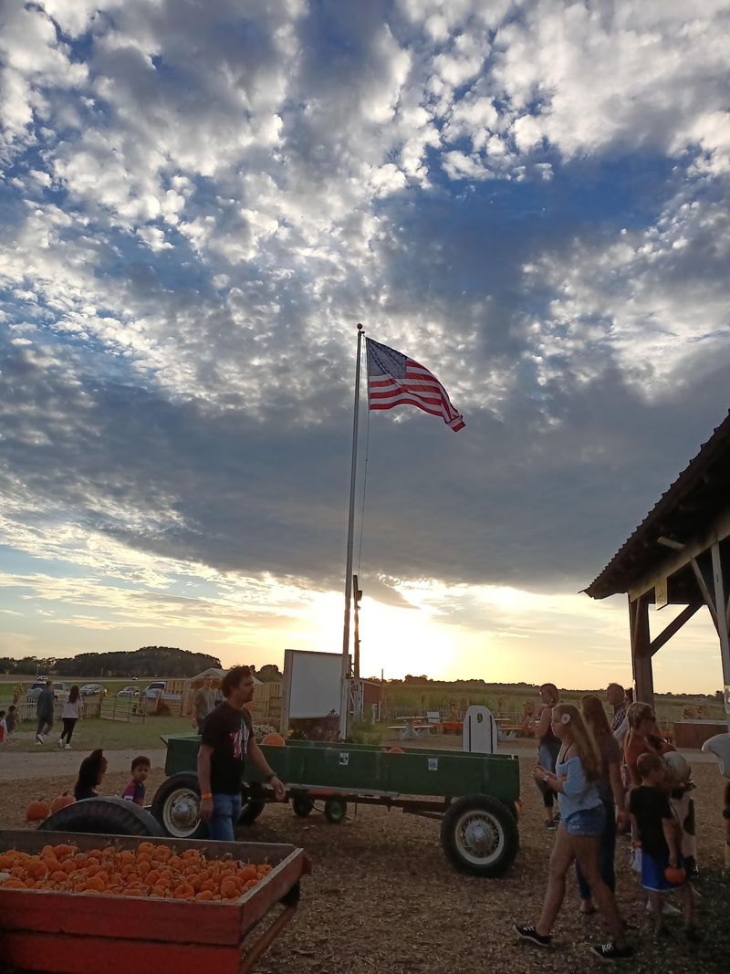 The Farm's Wagon Ride Leads to a Huge Pumpkin Patch