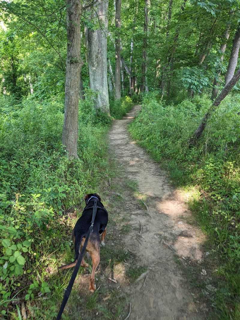White Clay Creek State Park - Newark