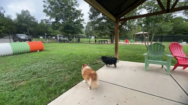 Spotsy Dog Park Inc. - Spotsylvania Courthouse