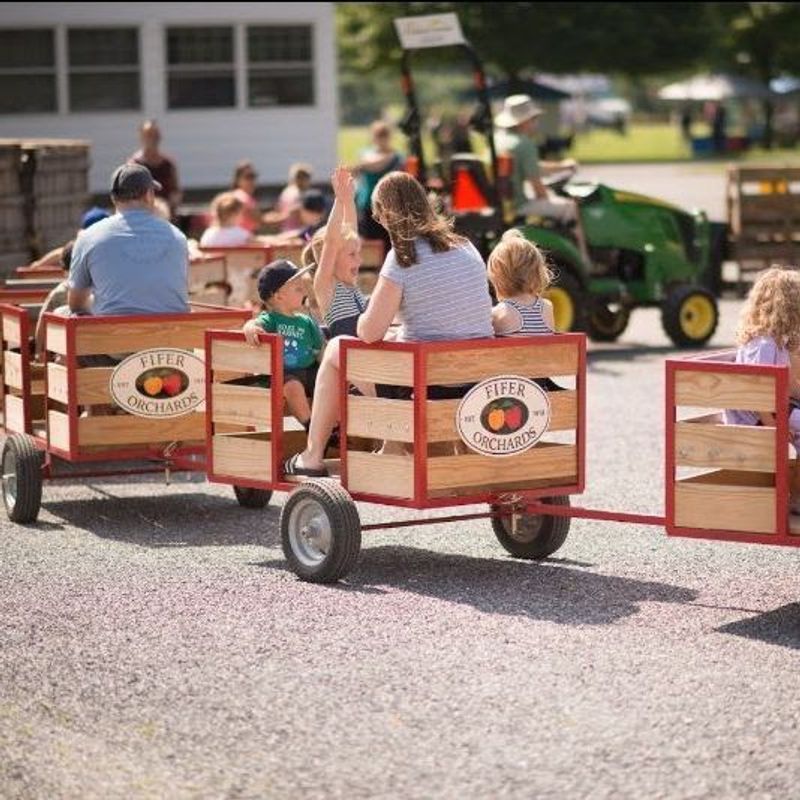 Fall Fest at Fifer Orchards