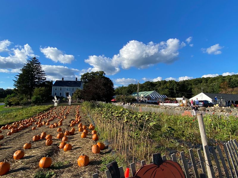 Rustic Autumn in North Andover