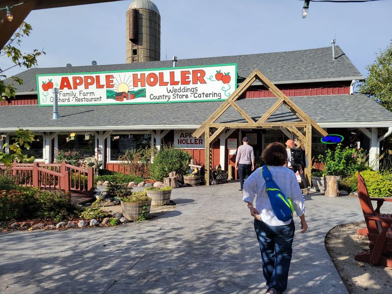 Apple Holler: A Whole Day Among the Trees