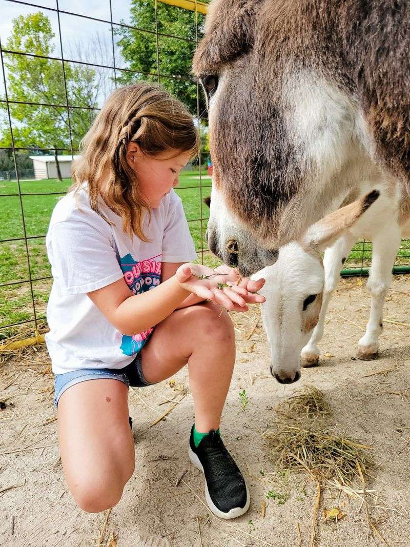 Green Meadows Petting Farm - East Troy
