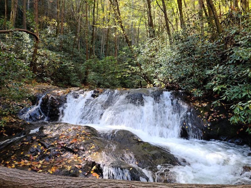 Raven Cliff Falls - Cleveland