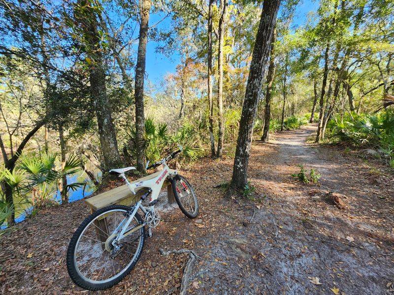 Big Shoals Trail, White Springs, Hamilton County