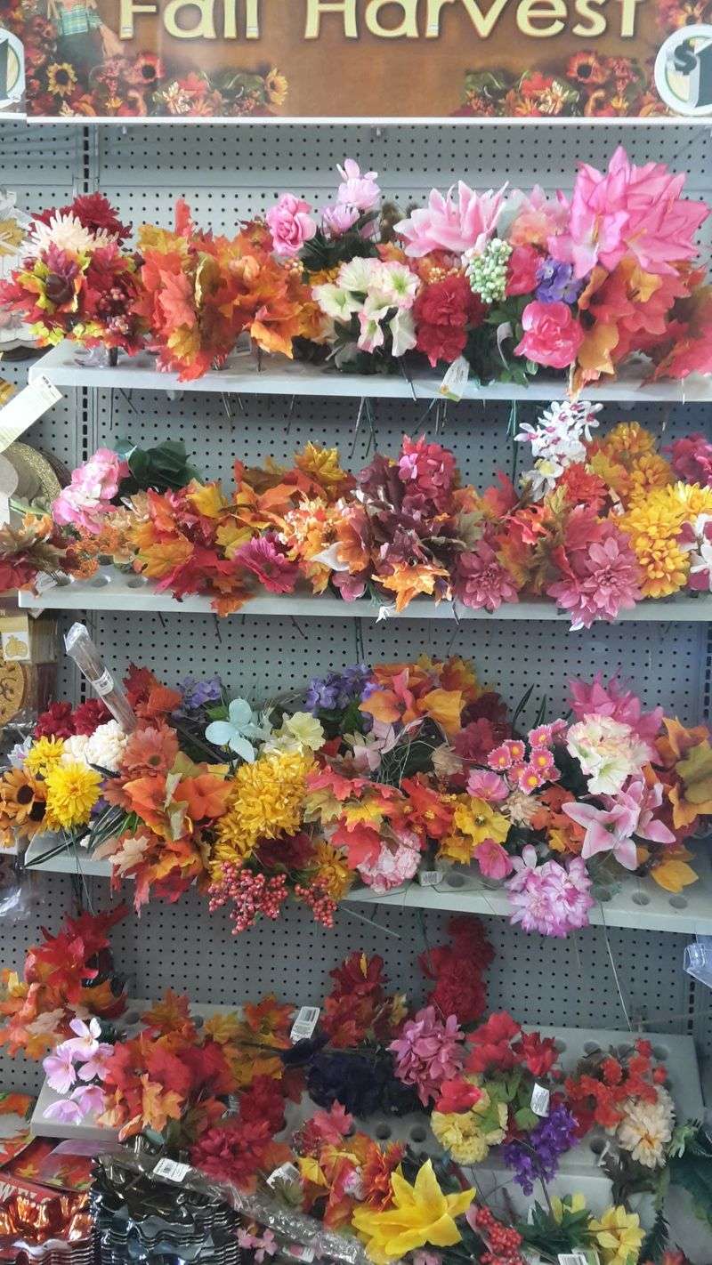 Dollar Tree - Brownwood