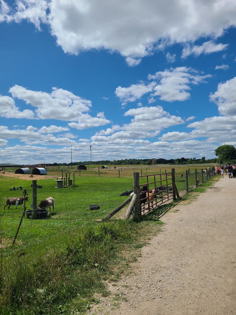 Meet the Nearly 200 Animals at the Farm