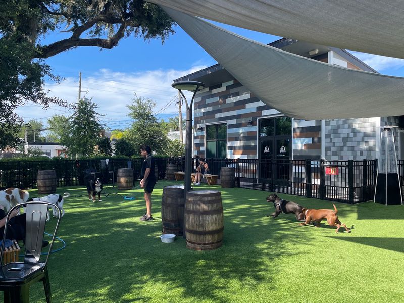 Let Your Dog Run Off-Leash in a Supervised Play Area