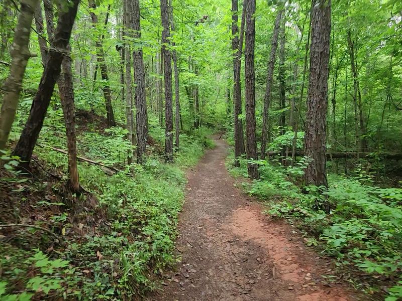 The Sound That Pulls You Down the Trail