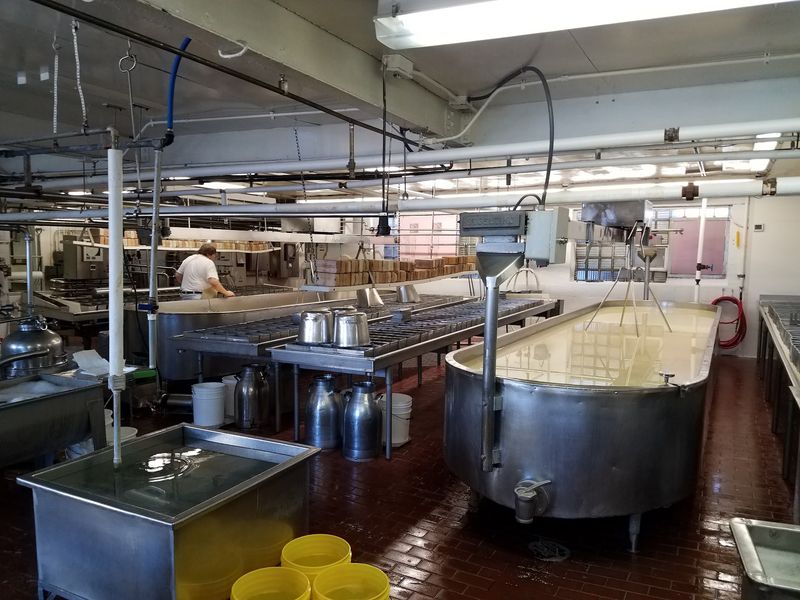 A Century Of Curds Still Matters