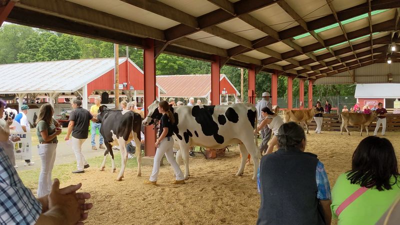 Franklin County Fair: A Greenfield Gathering