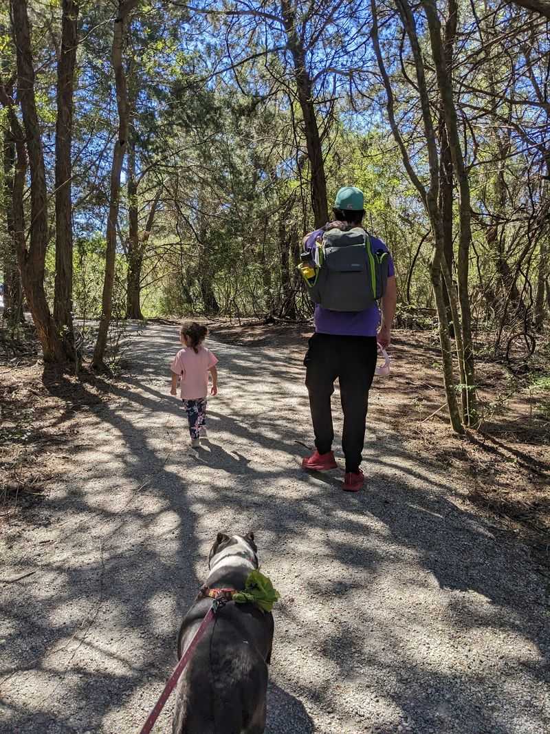 A Quiet Stop With Your Dog