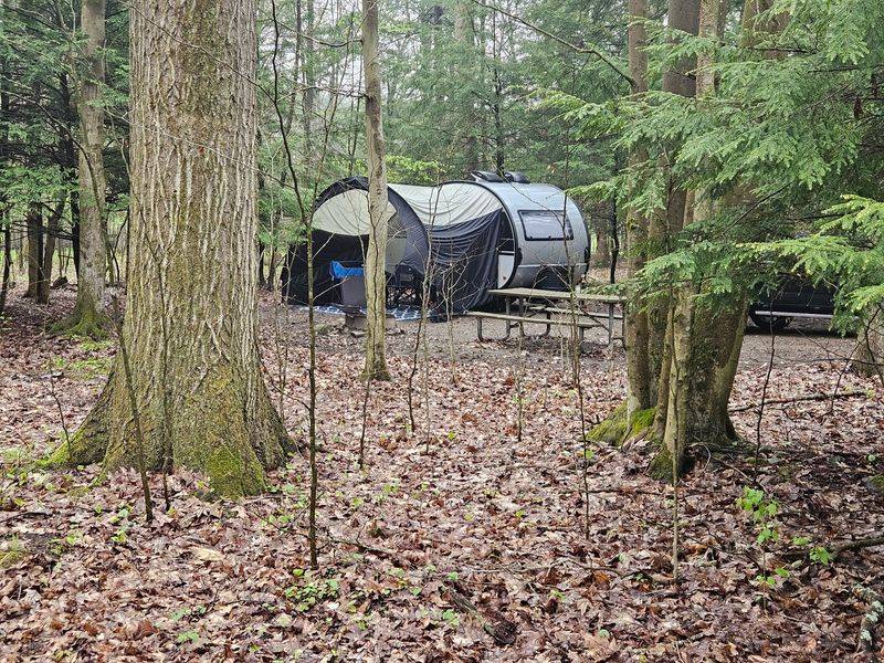 Hearts Content Recreation Area, Allegheny National Forest