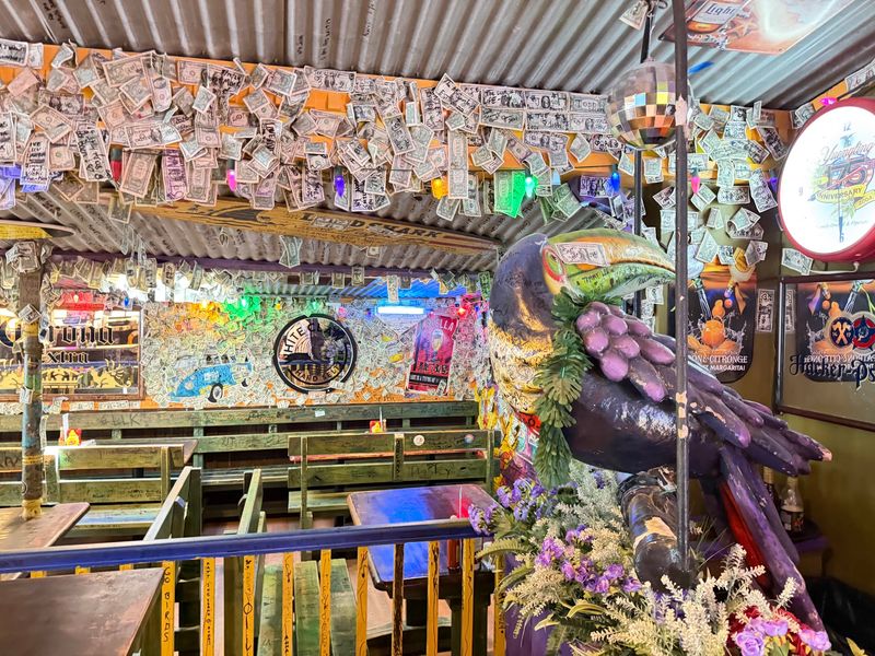 Purple Parrot Grill Beach Haus & Biergarten - Rehoboth Beach