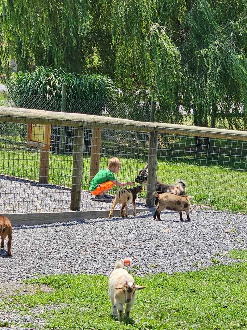 Goats With Their Own Plans