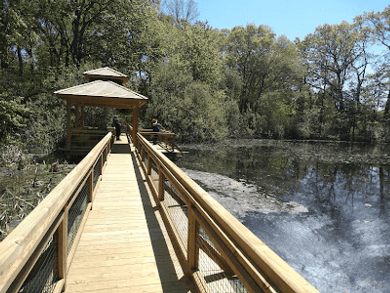 The Pond and Boardwalk Offer a Quiet Pause