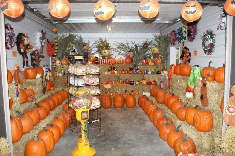 Jason's Pumpkin Patch in Oak Harbor