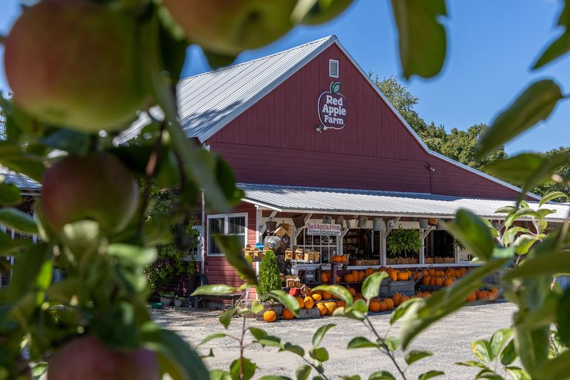 Red Apple Farm - Phillipston