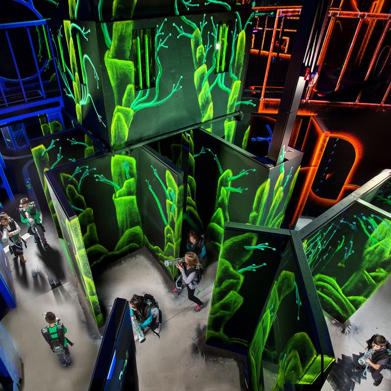 Find Your Way Through the Maze