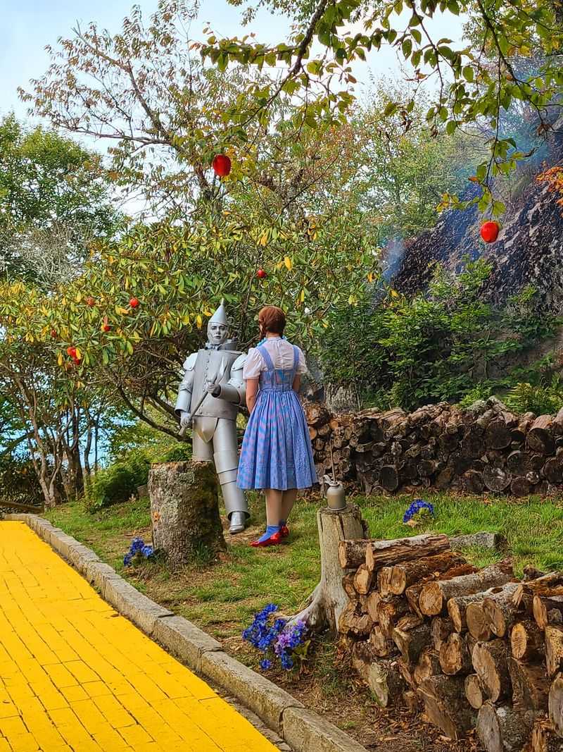 A Summer Surprise at the Land of Oz