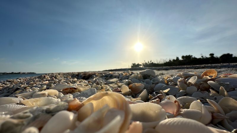 Smart Timing Can Turn Good Shelling Into Great Shelling