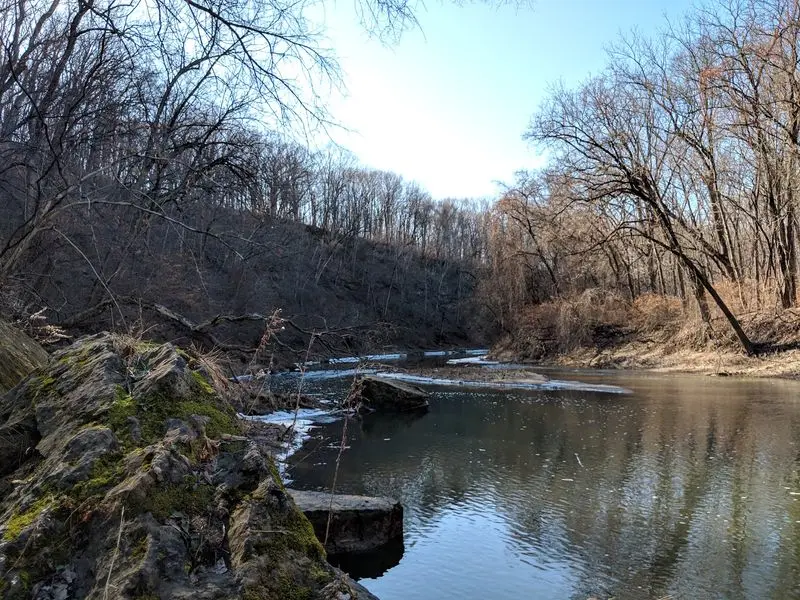 Fossils Hide in Plain Sight Near the Water