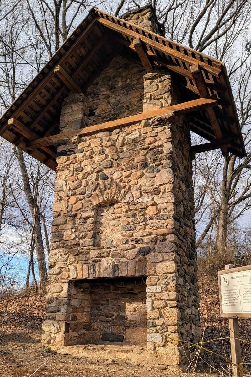 A Small Museum That Turns Bird Watching Into Learning