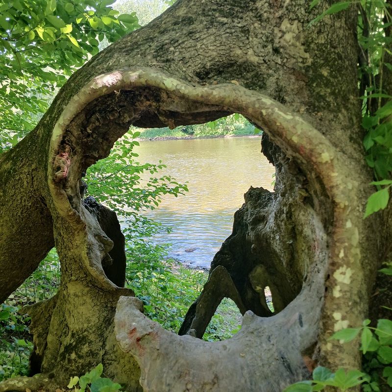 Brandywine Creek State Park, Wilmington, New Castle County